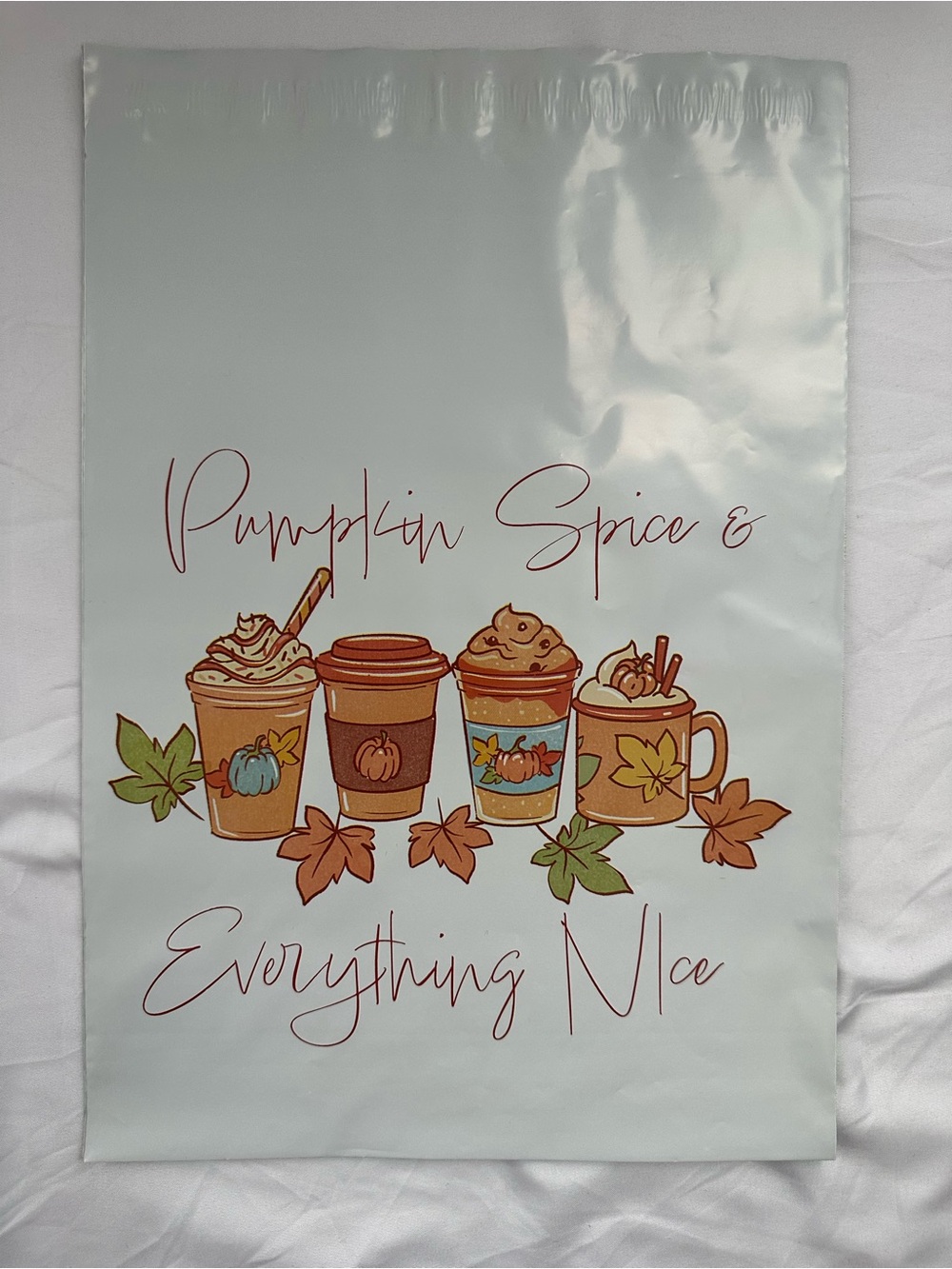 Fall Autumn Poly Mailer Variety Pack 10x13 Pumpkin Spice Happy Fall Hedgehogs - Picture 11 of 14